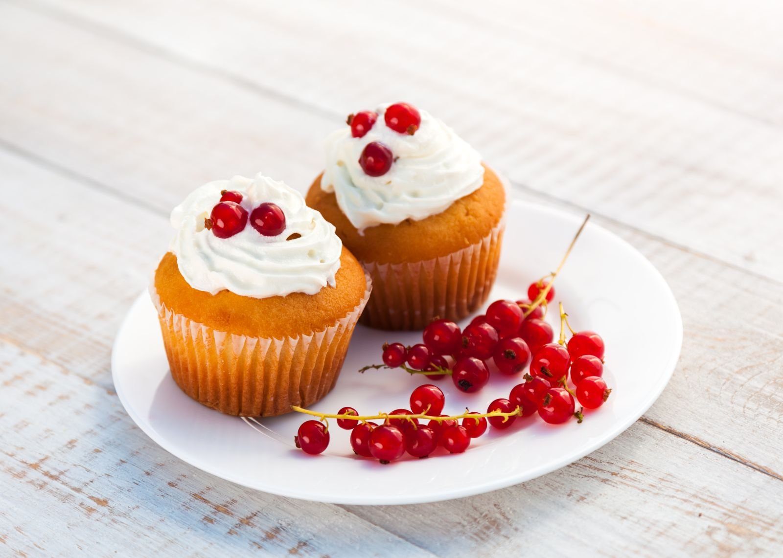 Cup Cake
